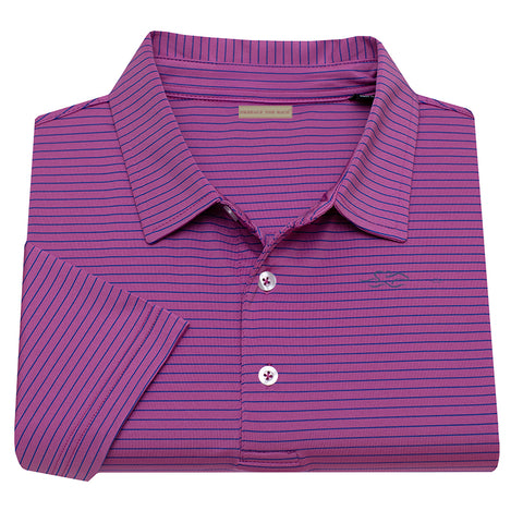 Soft Jersey Striped Polo- Azalea/White with Cobalt