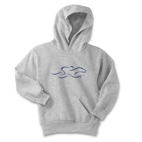 A kids gray hoodie sweatshirt with navy EMBRACE THE RACE logo center front. Workmark across the back shoulder.