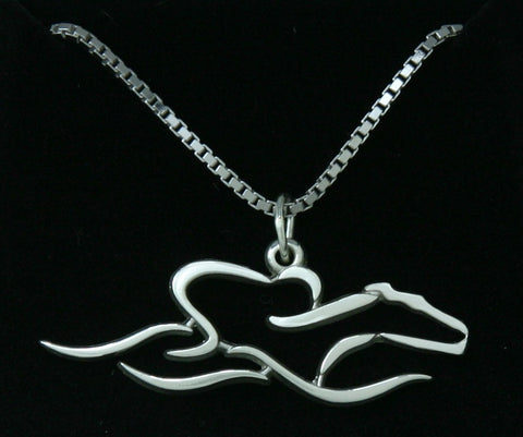 A Sterling Silver 22 inch adjustable chain with 1.5 inch EMBRACE THE RACE icon pendant.