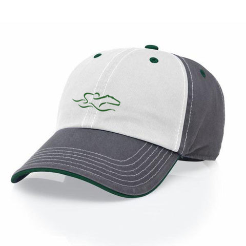 A tri-color adjustable relaxed fit hat in gray, green and white. EMBRACE THE RACE icon center front and wordmark on the back.