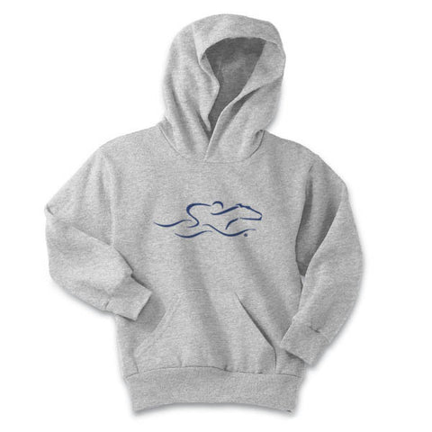 A kids gray hoodie sweatshirt with navy EMBRACE THE RACE logo center front.  Workmark across the back shoulder. 