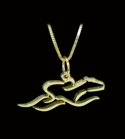 A 14 K Gold 22 inch adjustable chain with 7/8ths inch EMBRACE THE RACE icon pendant.