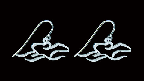 Silver sterling earrrings with French wire hoops and floating EMBRACE THE RACE icon.